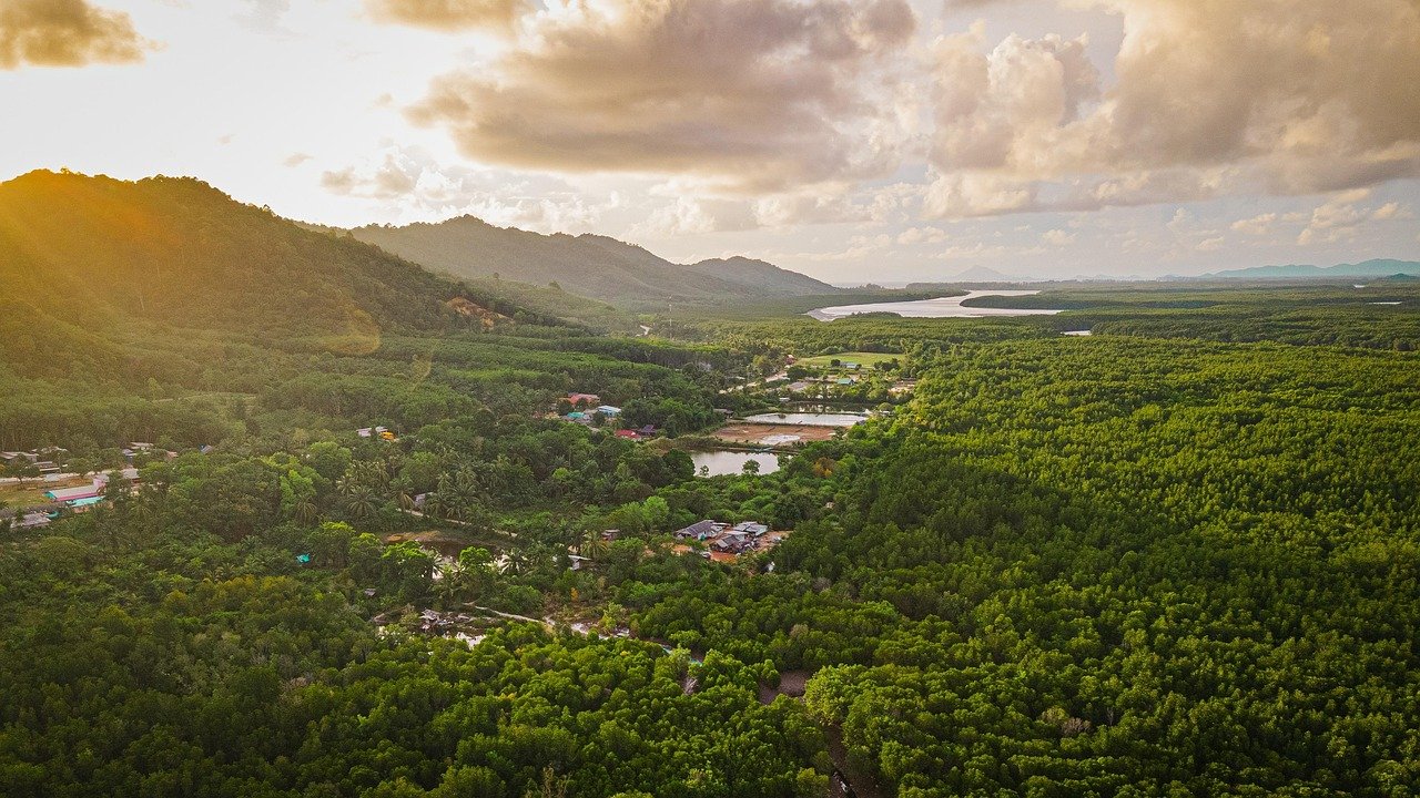 Aerial view of lush green mangrove forest with a river and mountains under a cloudy sky