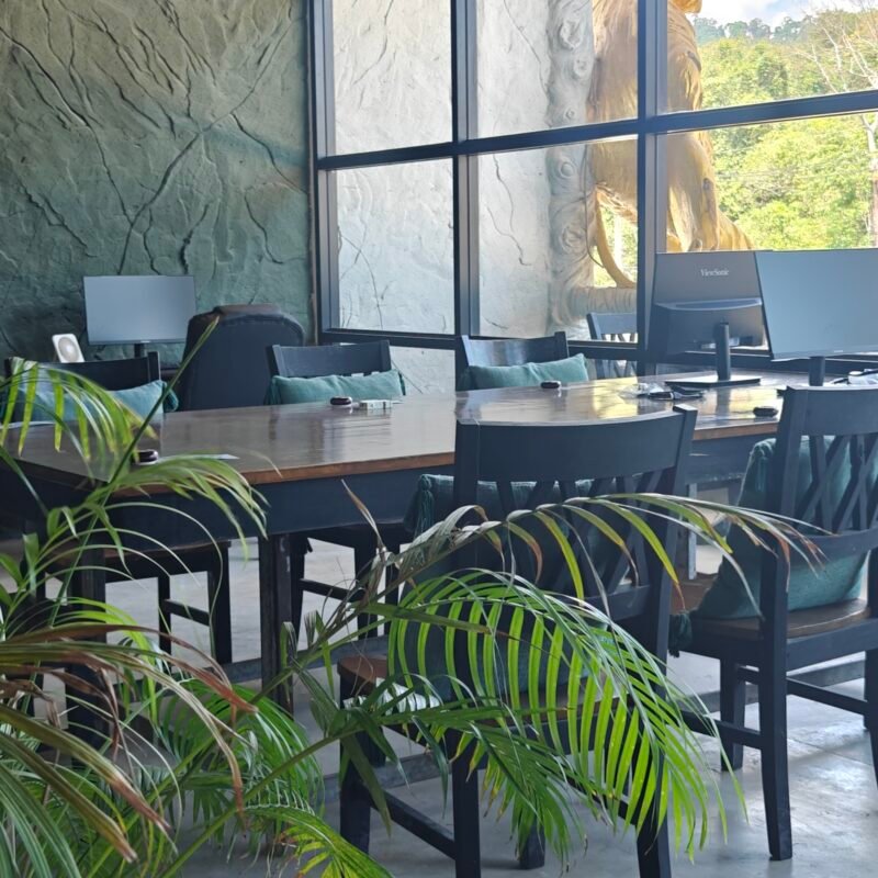 A long wooden table with chairs and plants in front of a window with a view of trees